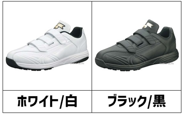 カラー.jpg